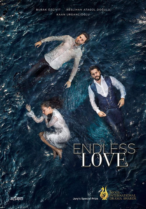 Kara Sevda (Endless Love)