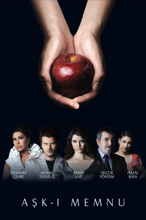 Aşk-ı Memnu (Forbidden Love)
